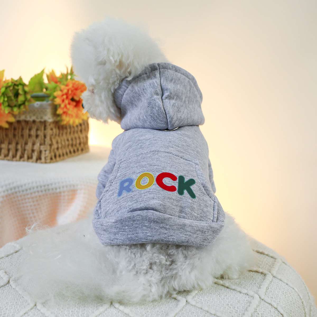 犬服 冒険家とロッカーのフード付きパーカー