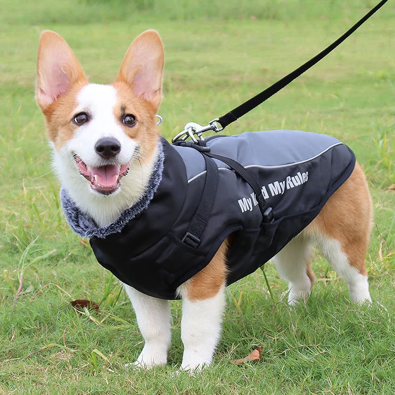 犬服 多機能ベスト型散歩ジャケット