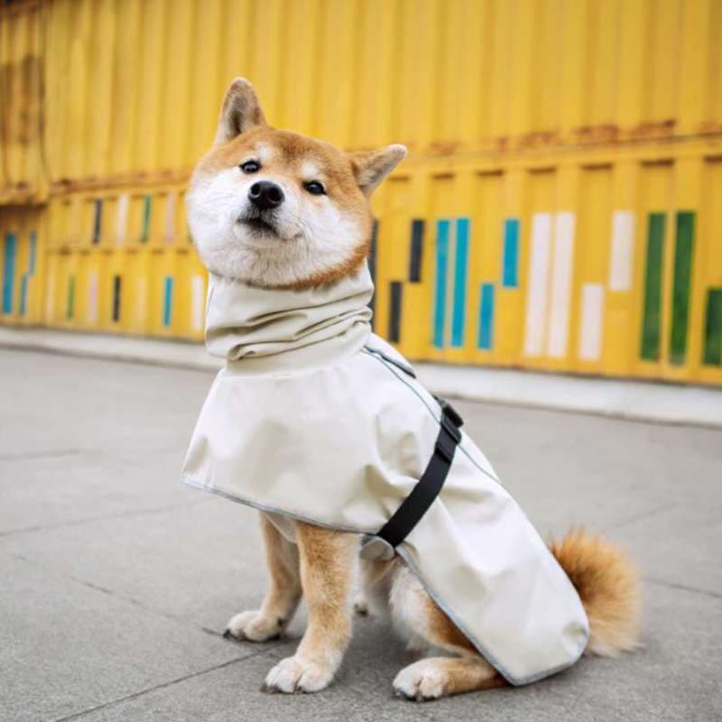 犬服 中型犬用オールシーズンレインコート