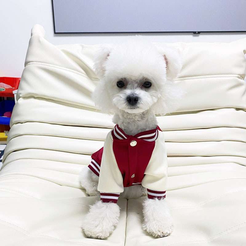 犬服 アウター ワンちゃん用スポーティジャケット