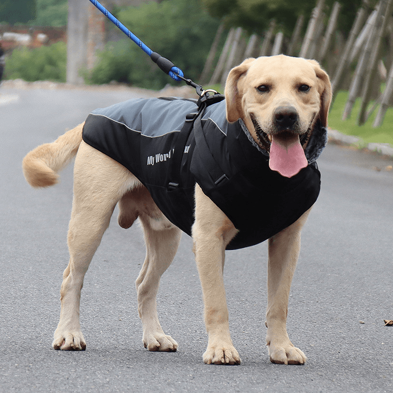 犬服 大型犬用アウトドアジャケット