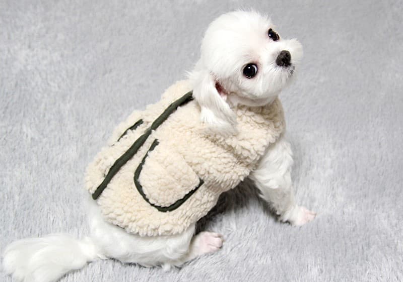 犬服 もこもこボアポケットコート