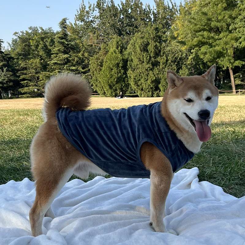 犬服 柔らか素材の犬用タンクトップ