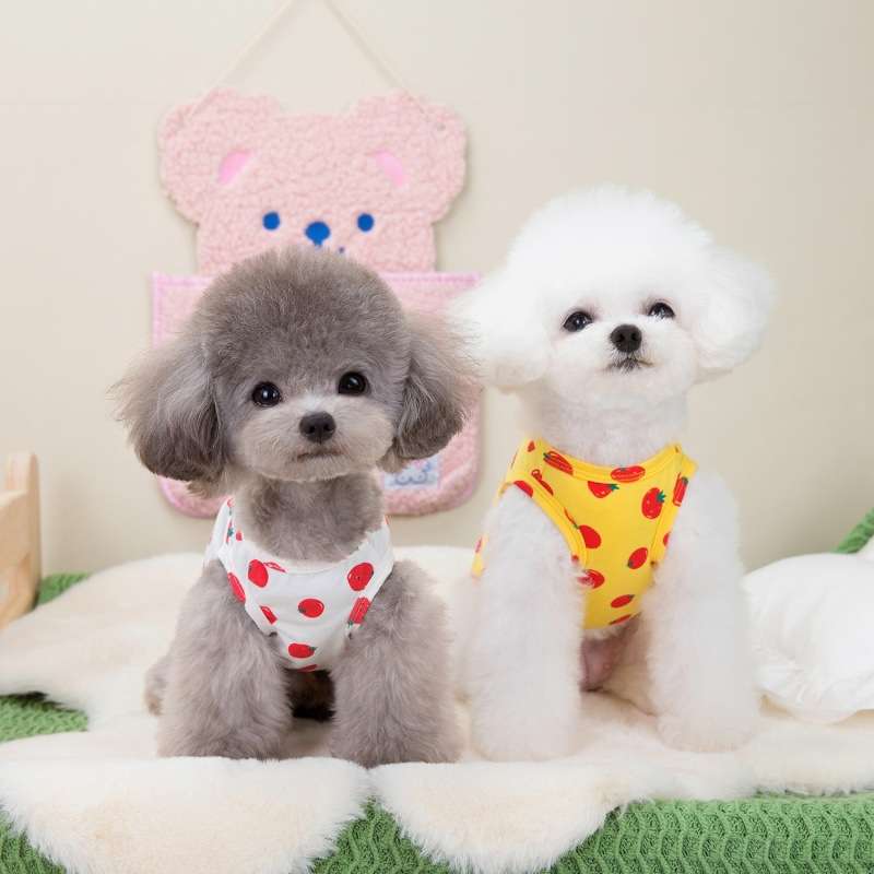 犬服 いちごプリントの可愛いタンクトップ