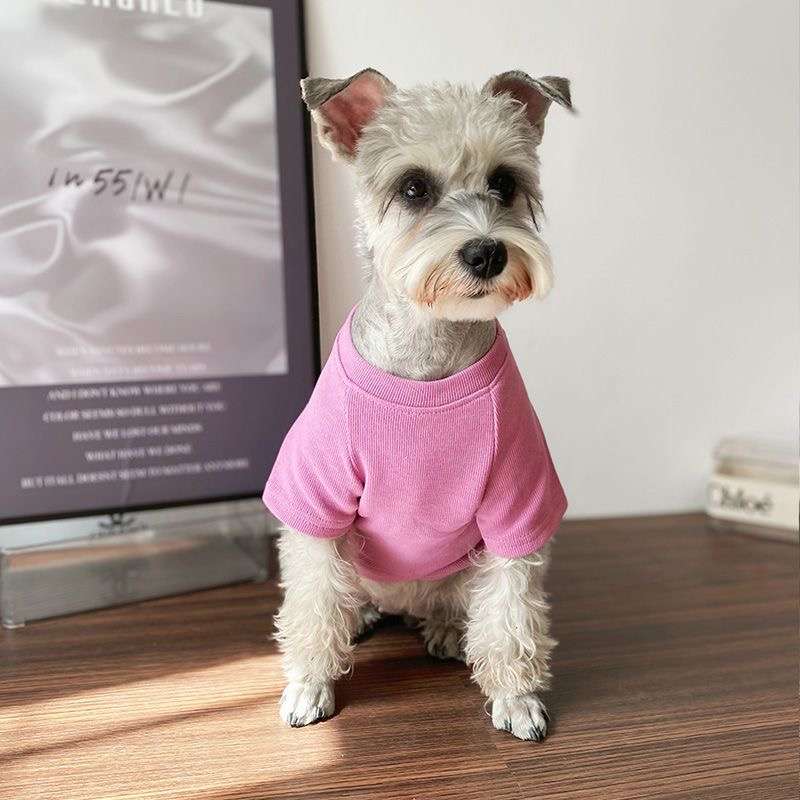 犬服 小型犬用おしゃれTシャツ