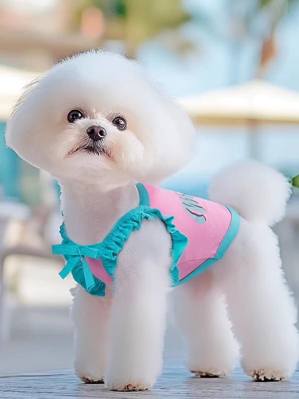 犬服 うきうき南国リゾートベスト