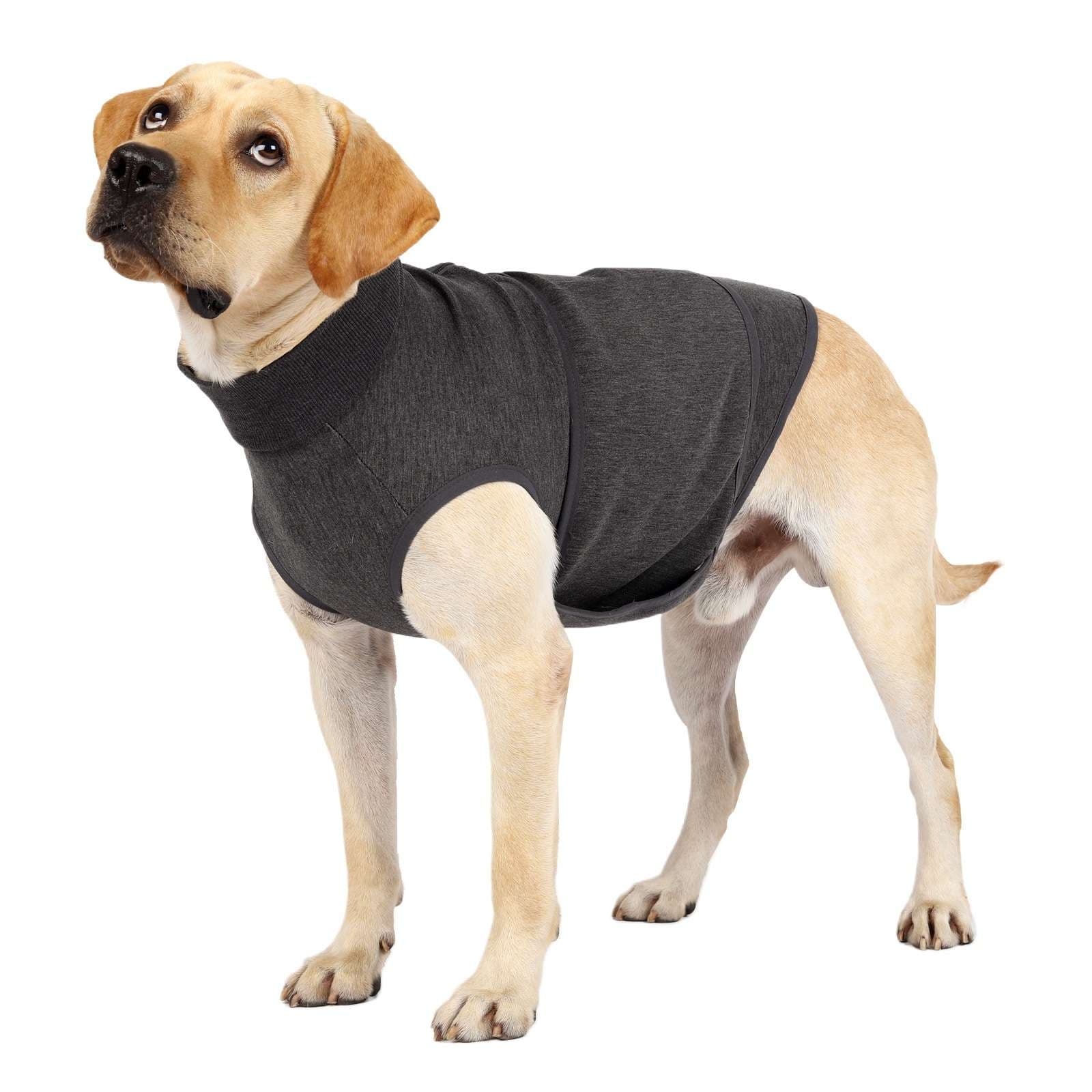 犬服 中型犬用あったかタートルネックウェア