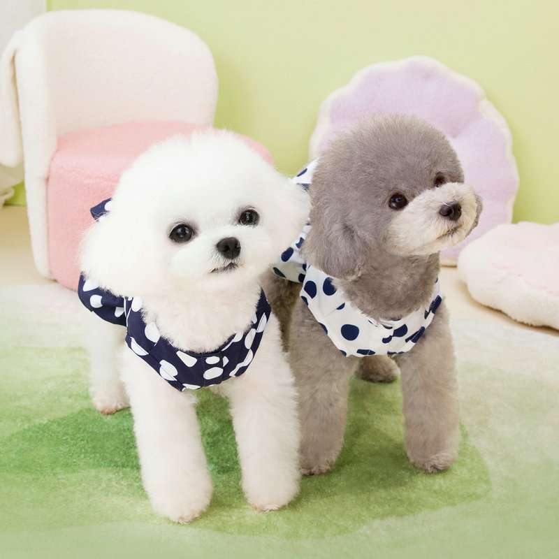 犬服 ふわもこワンちゃん用水玉ワンピース