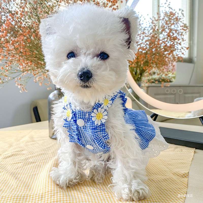 犬服 花かごガーリーワンピース