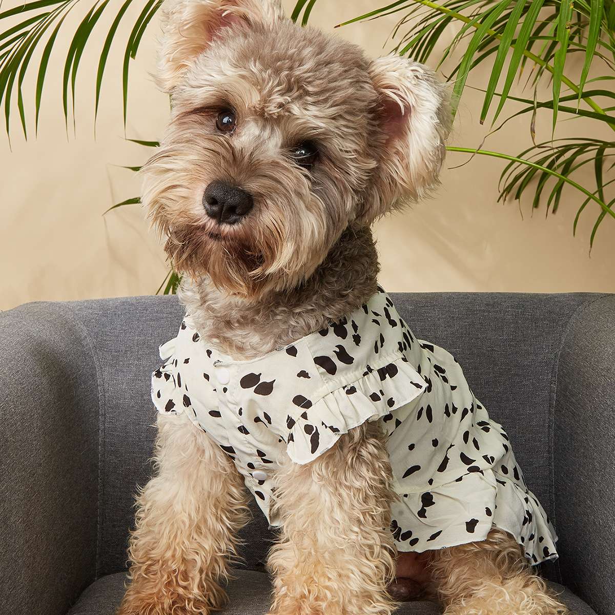 犬服 もこもこダルメシアン柄ワンピース