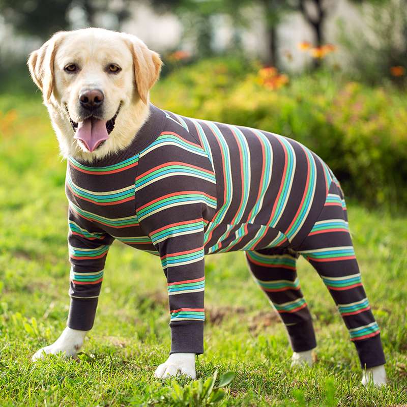 犬服 大型犬用フルボディスーツ