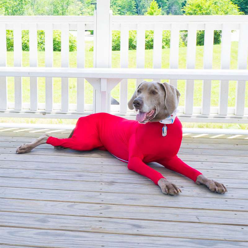 犬服 全身すっぽりドッグウェア