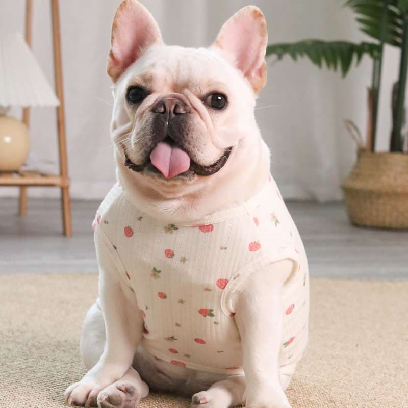 犬服 小型犬 サマータンクトップ