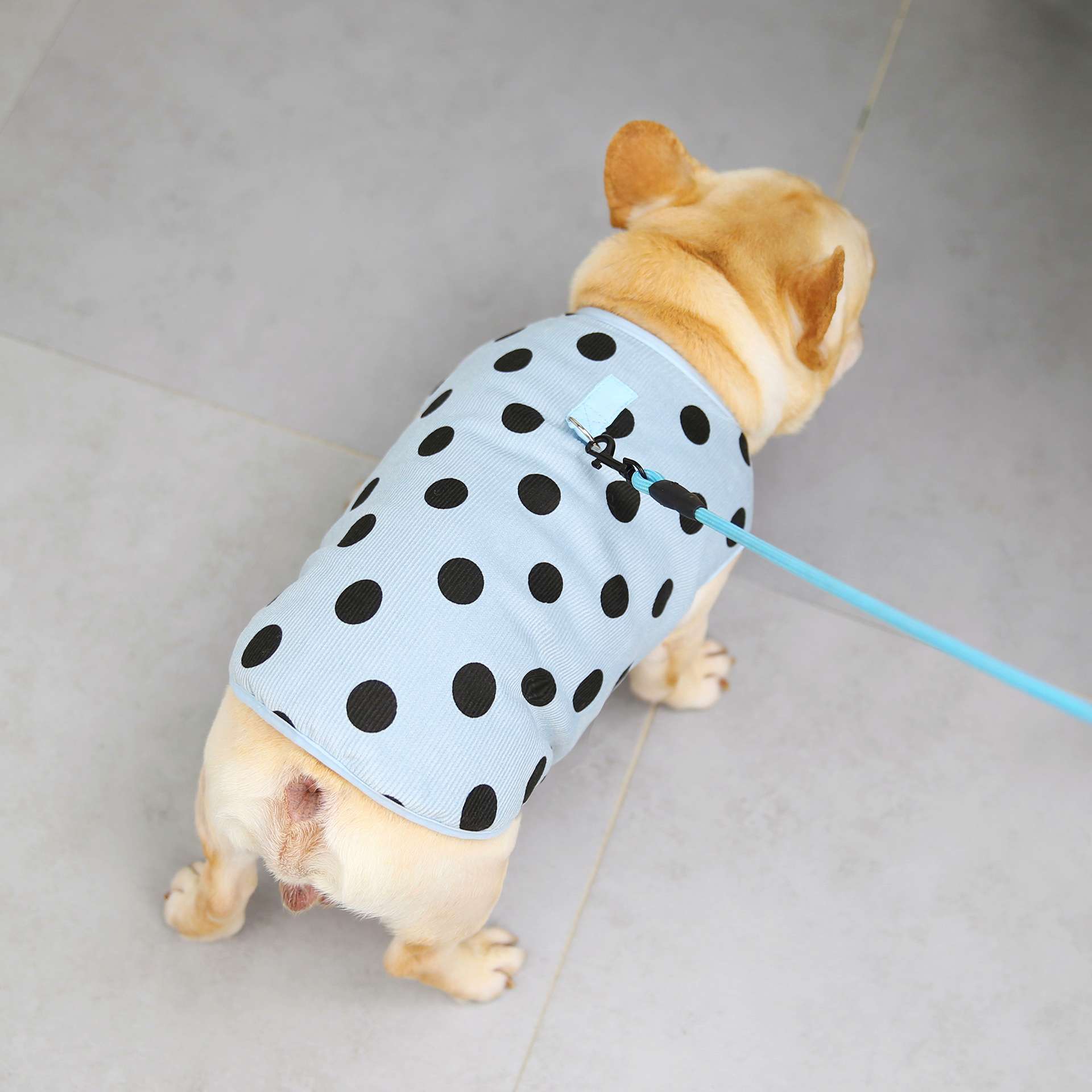 犬服 水玉模様の爽やかベスト