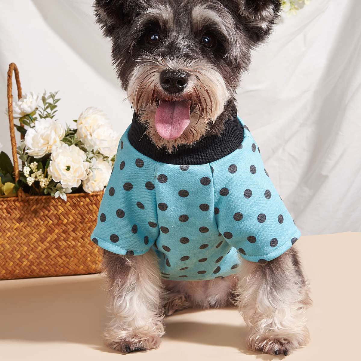 犬服 ふわもこ水玉模様のペット用Tシャツ