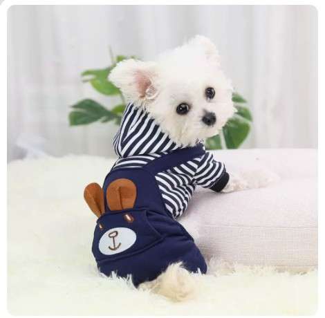 犬服 わんちゃん用うさぎさん着ぐるみロンパース