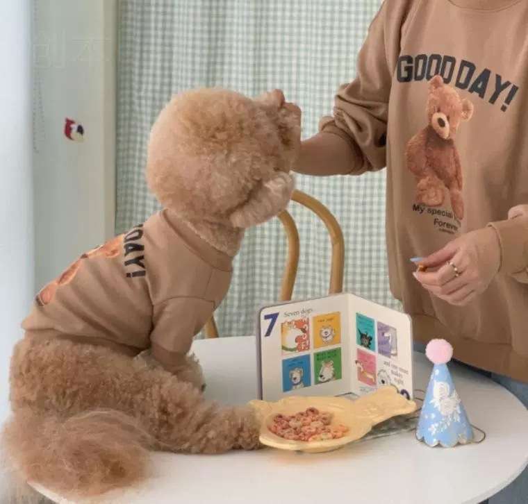 犬服 テディベア柄キュートペット服