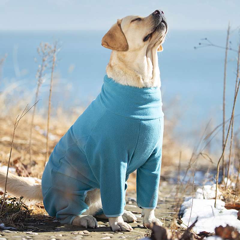 犬服 冬のお散歩あったか全身スーツ