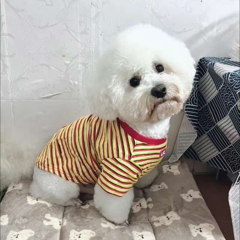 犬服 ボーダー柄の快適ドッグウェア