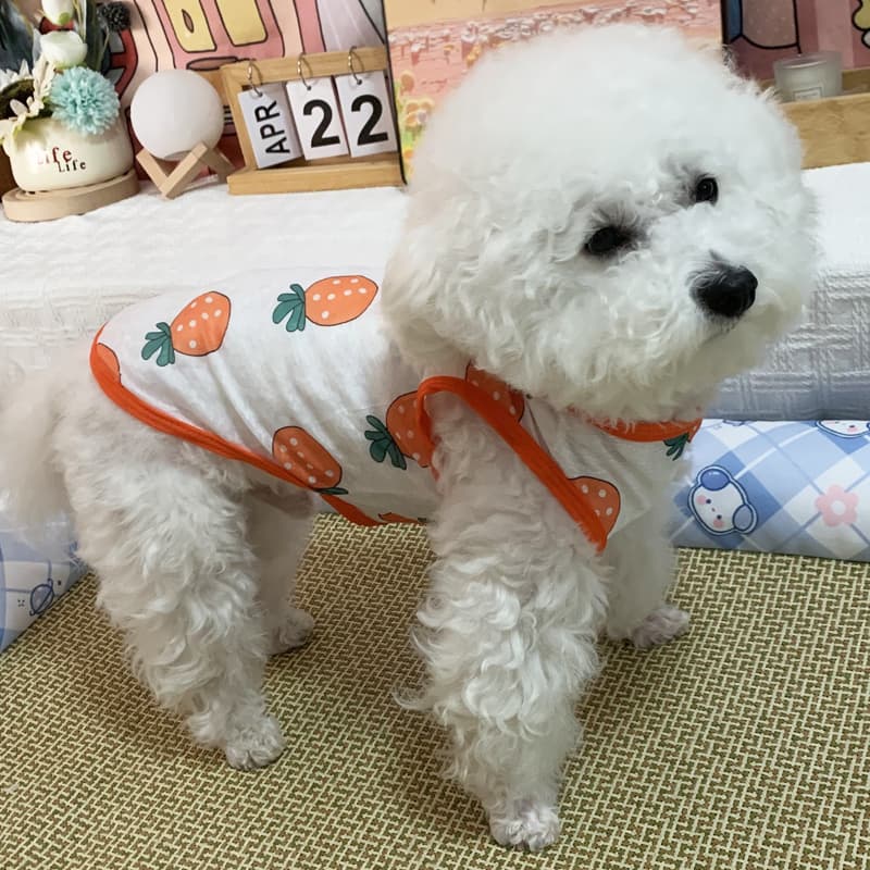 犬服 夏果実さわやかノースリーブ