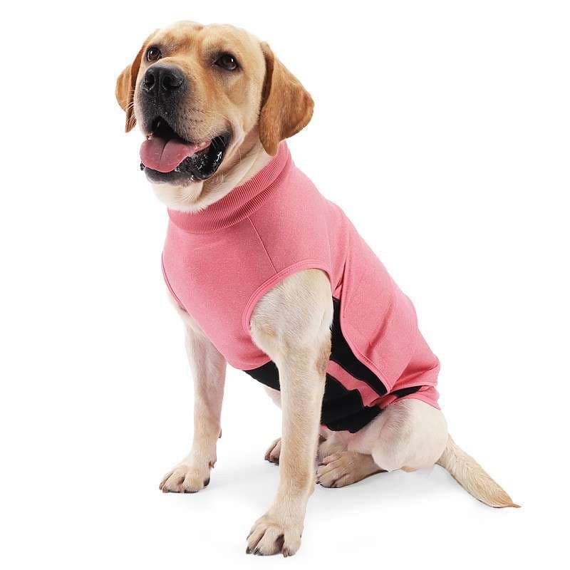 犬服 中型犬用あったかタートルネックウェア