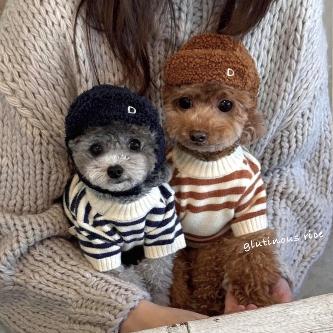 犬服 もこもこ帽子付きボーダーニット