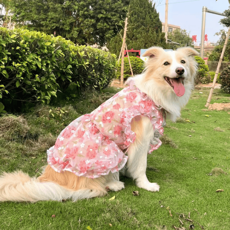 犬服 大型犬向け花柄ワンピース