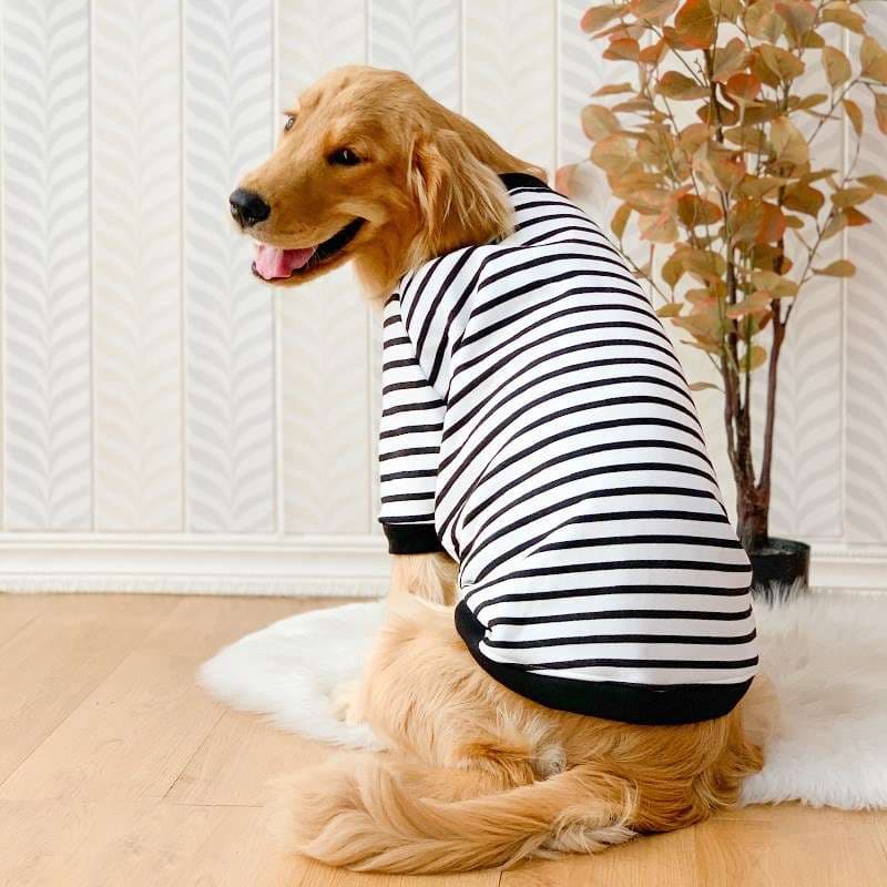 犬服 ボーダー柄ドッグウェア