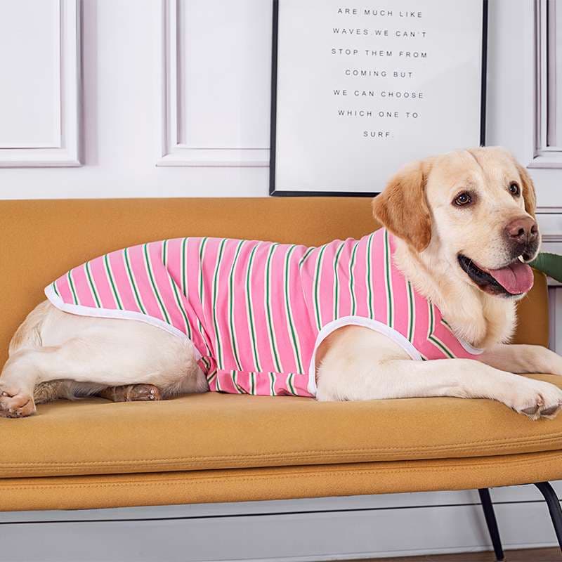 犬服 大型犬用ストライプタンクトップ