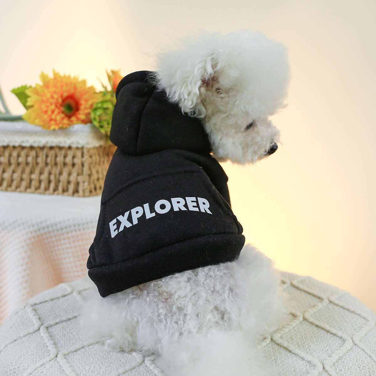 犬服 冒険家とロッカーのフード付きパーカー