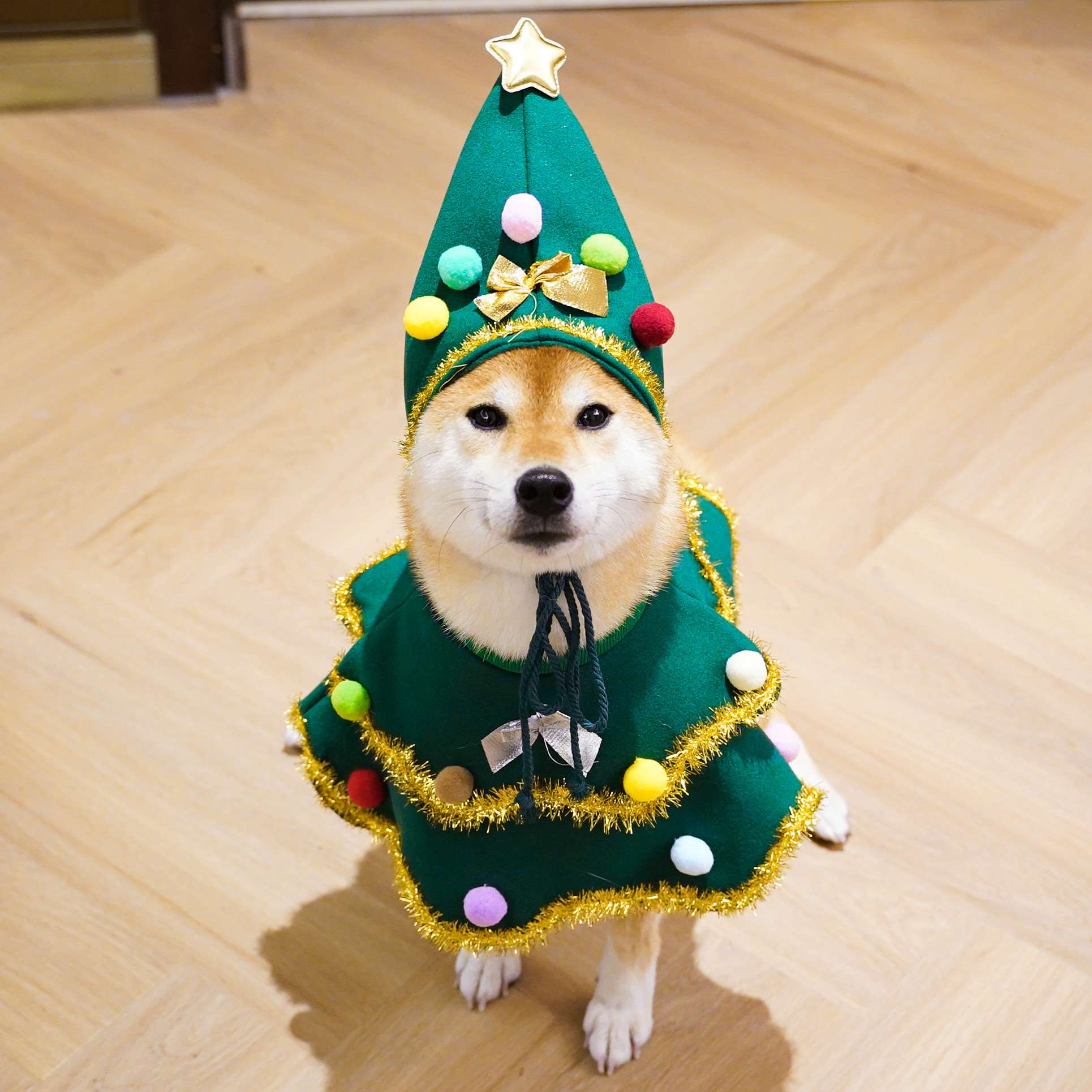 犬服 クリスマスツリー風 わんちゃん変身コスチューム