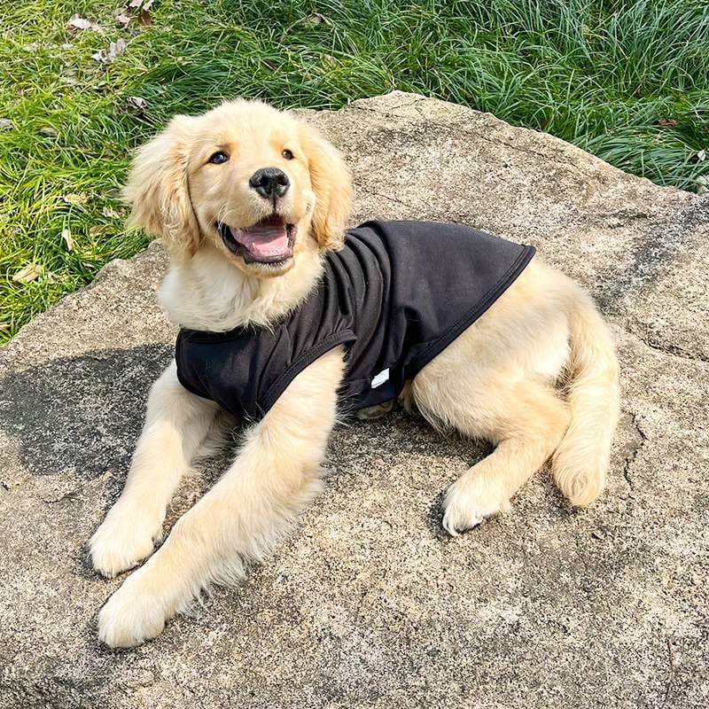 犬服 大型犬用シンプル半袖ベスト