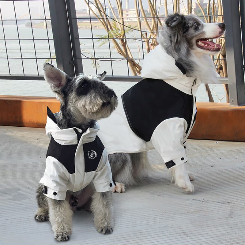 中型犬用スポーティージャケット風犬服