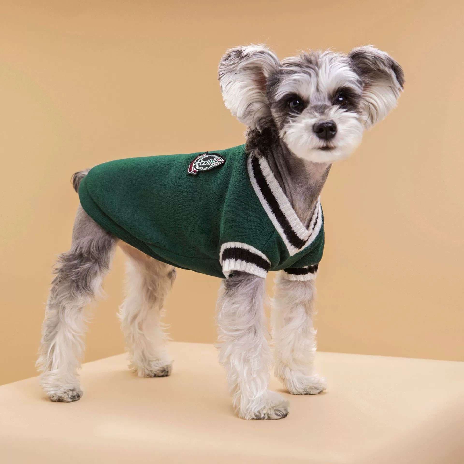 犬服 スポーティー小型犬用セーター