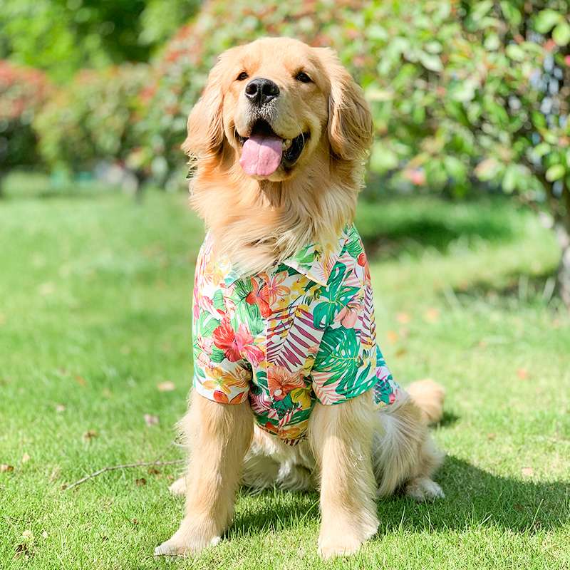 犬服 大型犬用トロピカル柄アロハシャツ