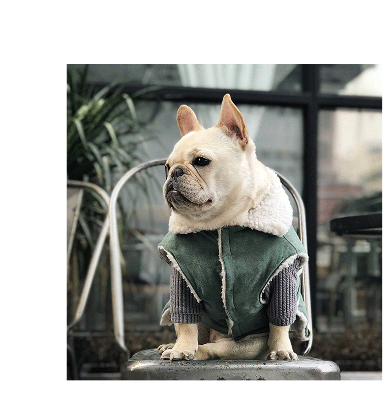 犬服 もこもこ襟付き防寒コート