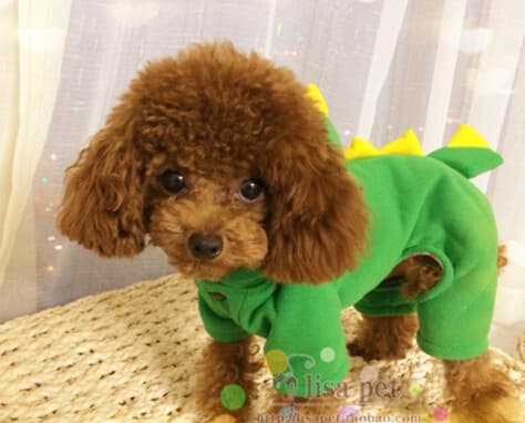 犬服 恐竜変身パーカー 小型犬用 四足タイプ