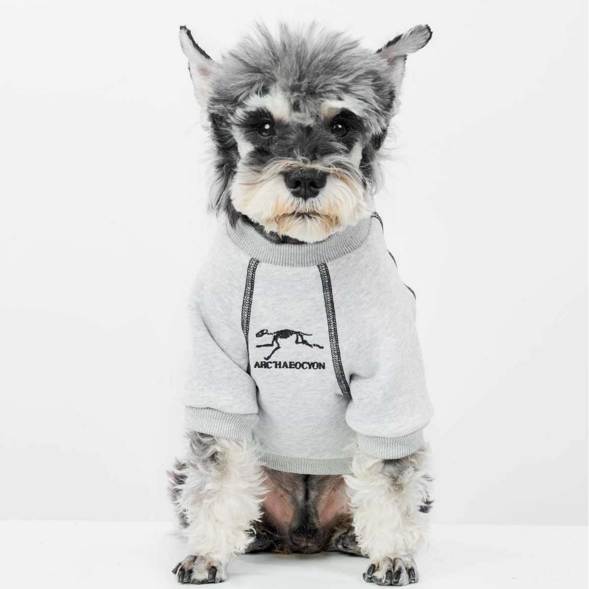 犬服 考古学者風スウェット