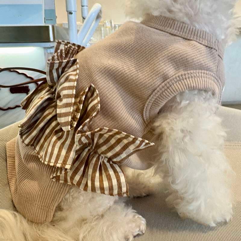 犬服 リボン付きフリル襟ニットウェア