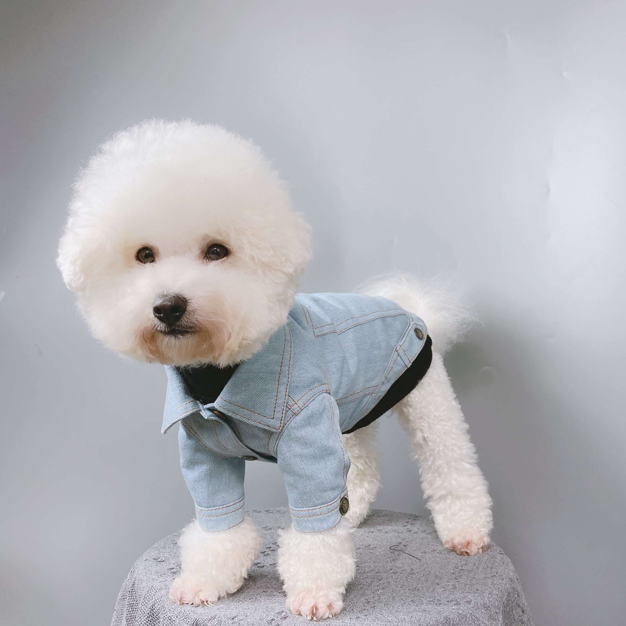 犬服 アウターわんちゃんのおしゃれデニムジャケット