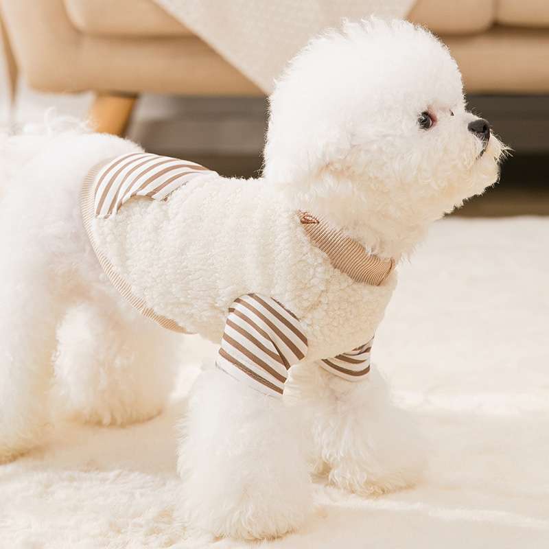犬服 もこもこボーダー袖の小型犬用ニットウェア