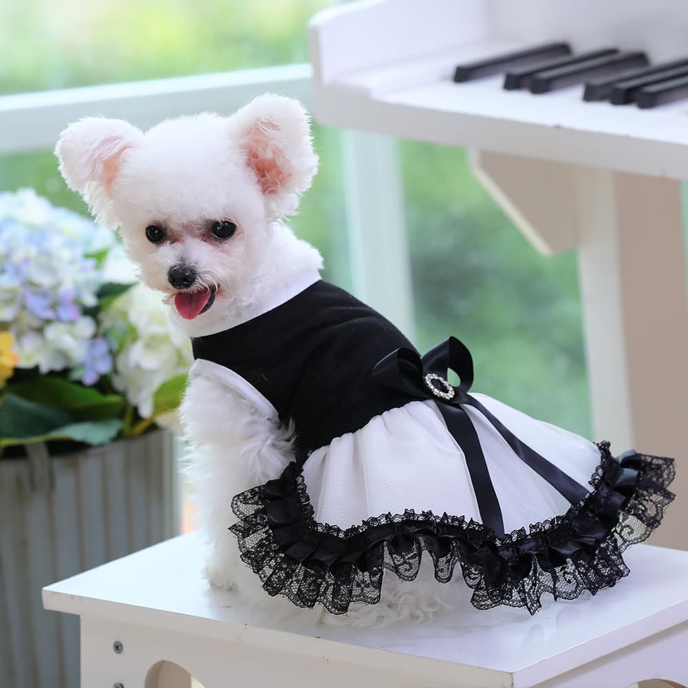 犬服 小型犬用エレガントレース付きチュチュドレス