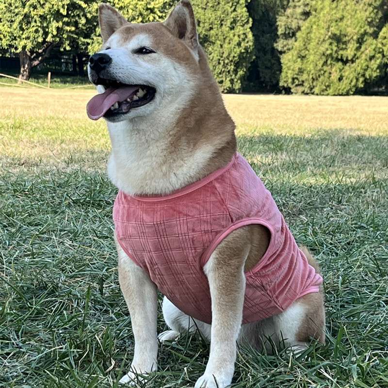 犬服 柔らか素材の犬用タンクトップ