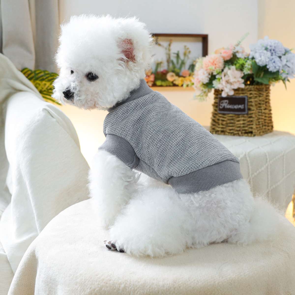 犬服 ふわもこわんちゃん用ニットセーター