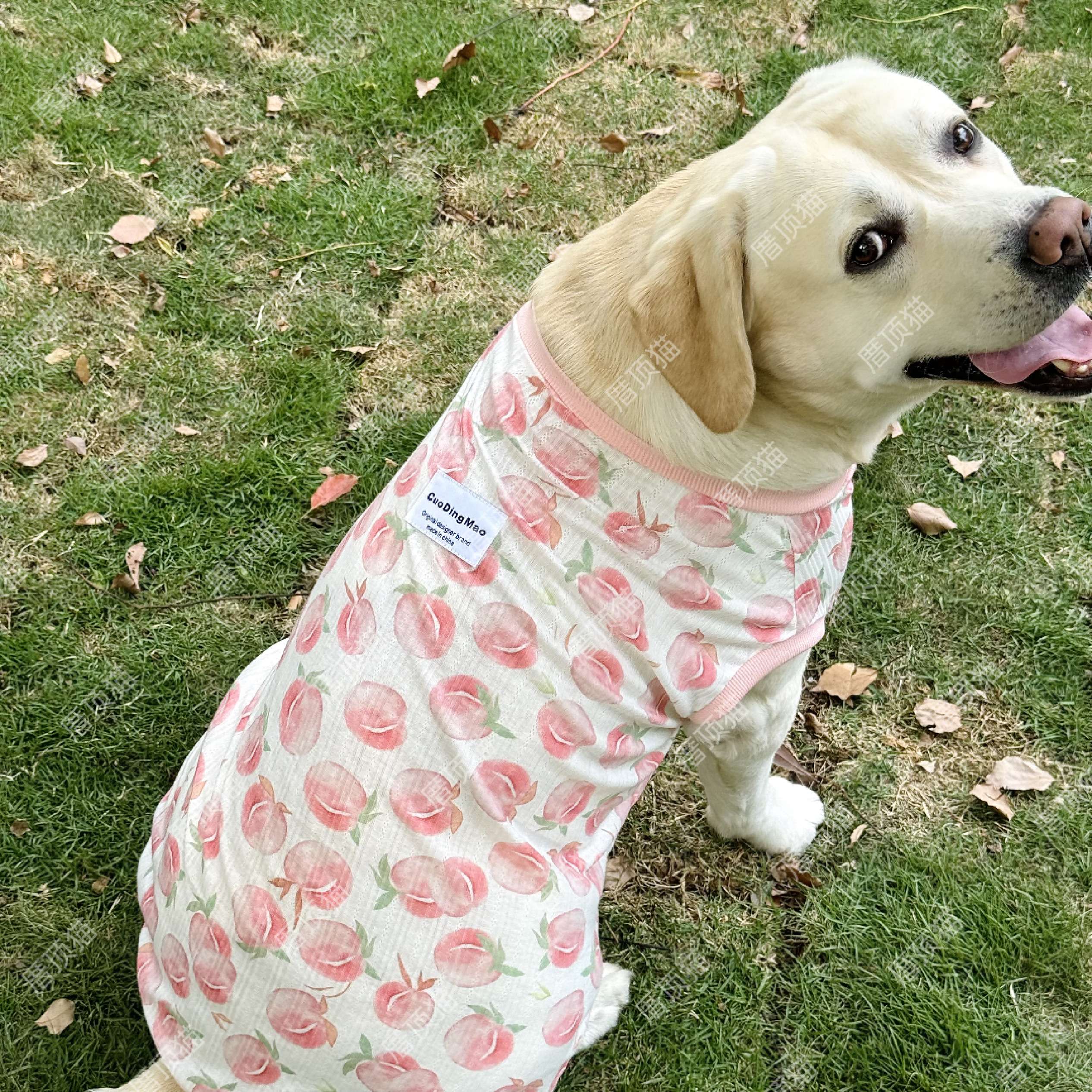 犬服 大型犬用さわやか桃柄タンクトップ