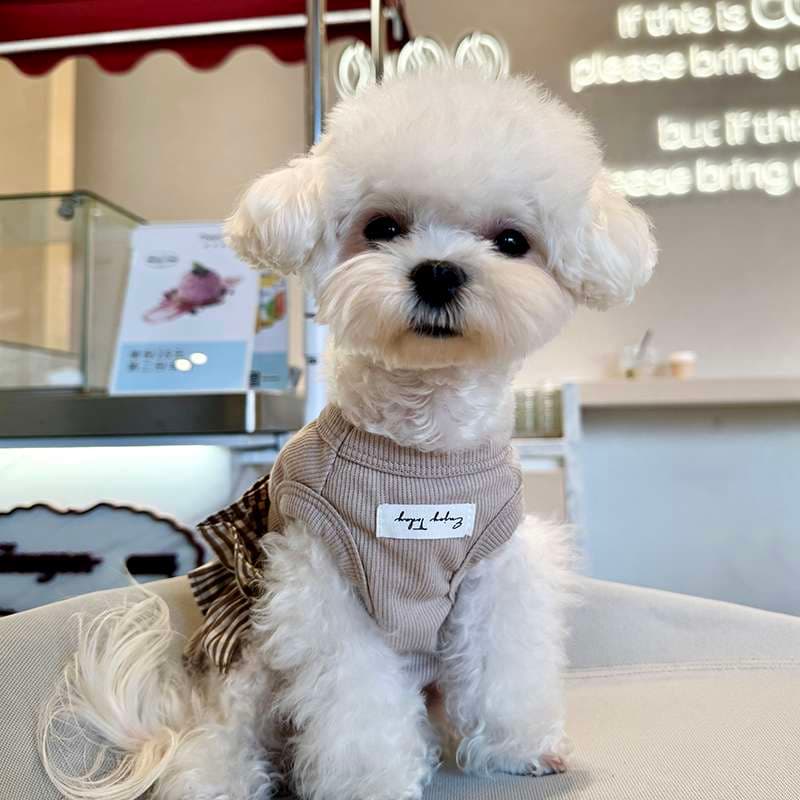 犬服 リボン付きフリル襟ニットウェア