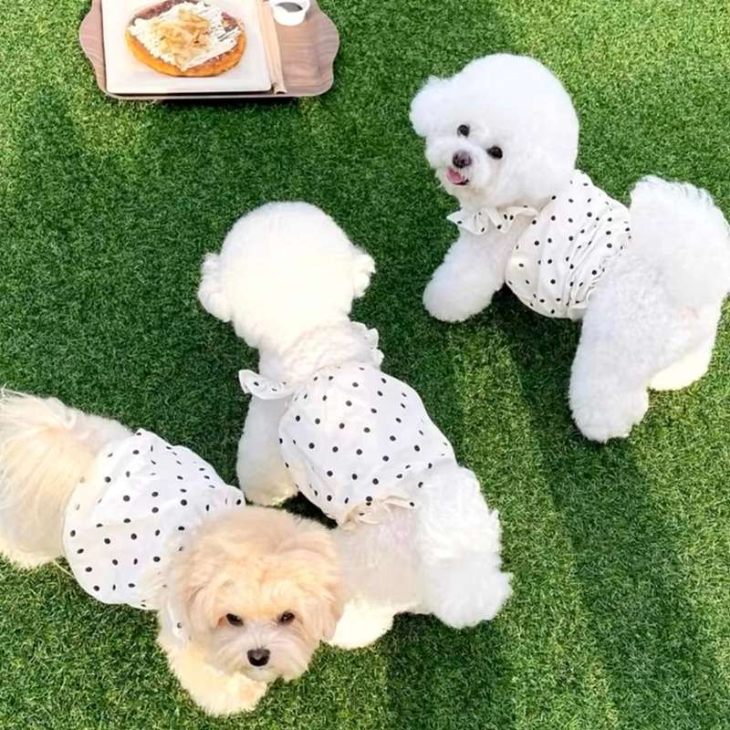 犬服 水玉模様のフリルワンピース