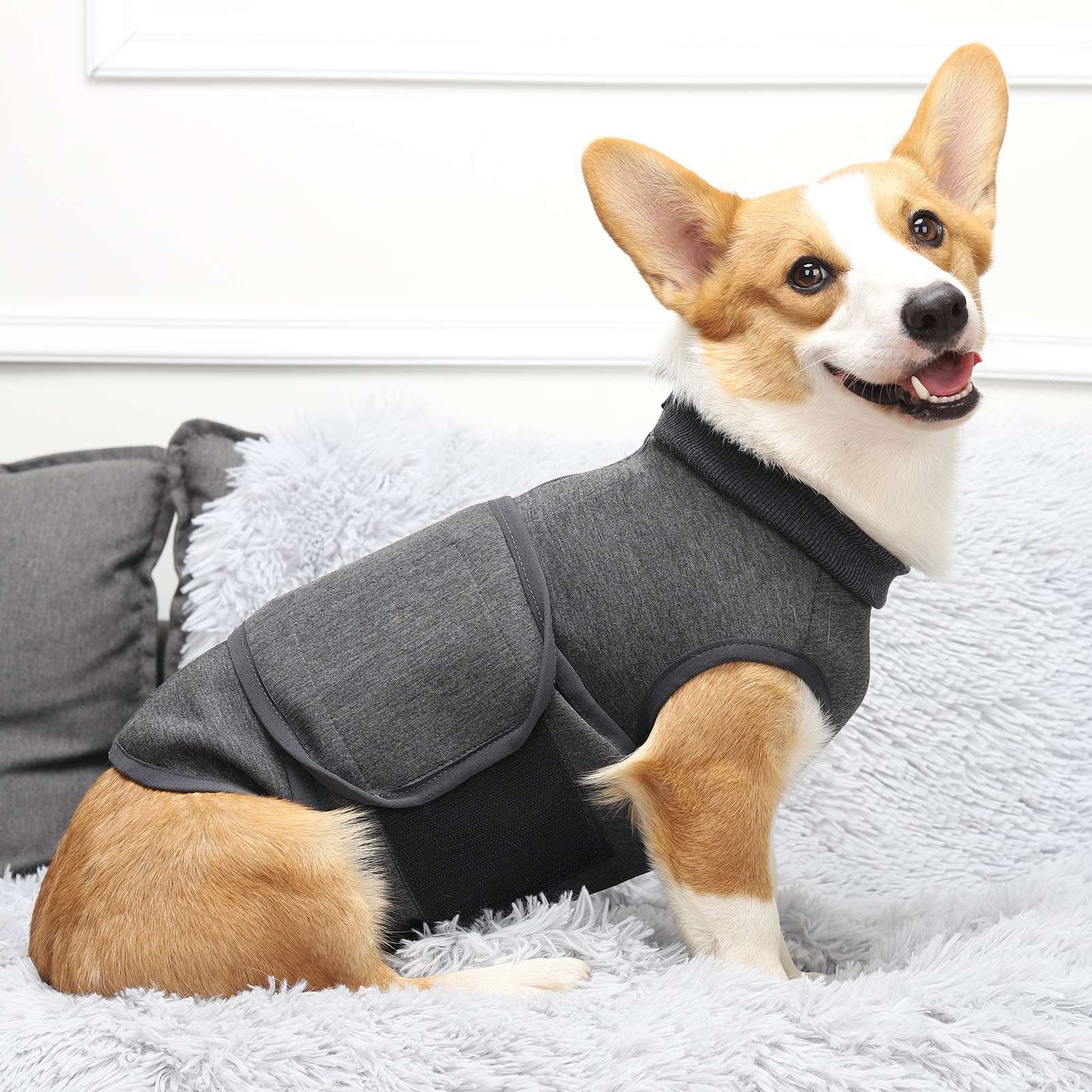 犬服 中型犬用あったかタートルネックウェア