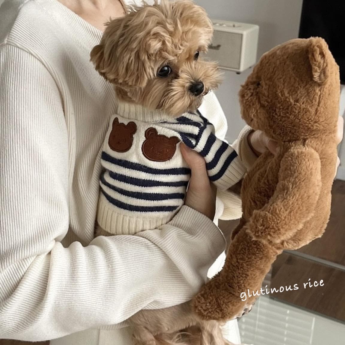 犬服 もこもこ帽子付きボーダーニット