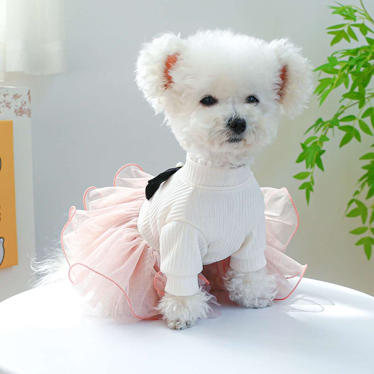 犬服 ふわふわチュチュワンピース